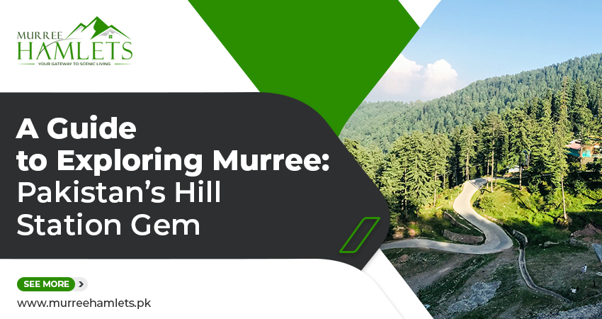 A Guide to Exploring Muree Hills Sation