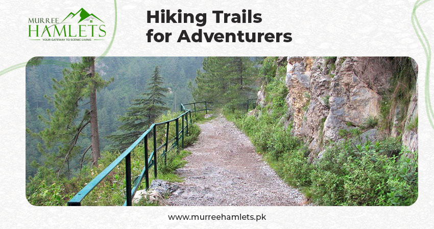 Hiking Trails for Adventurers