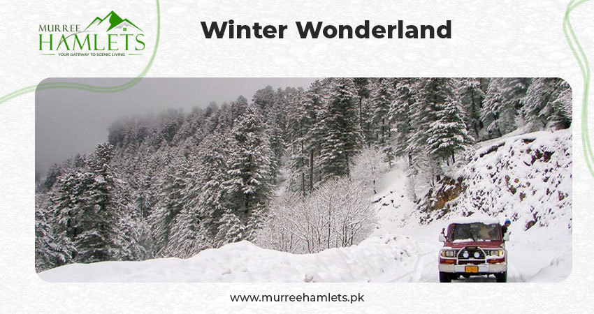 A Glimpse into History